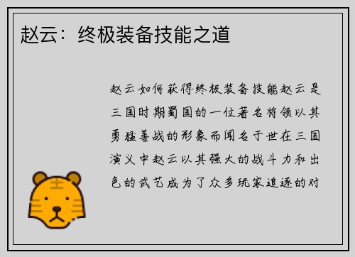 赵云：终极装备技能之道